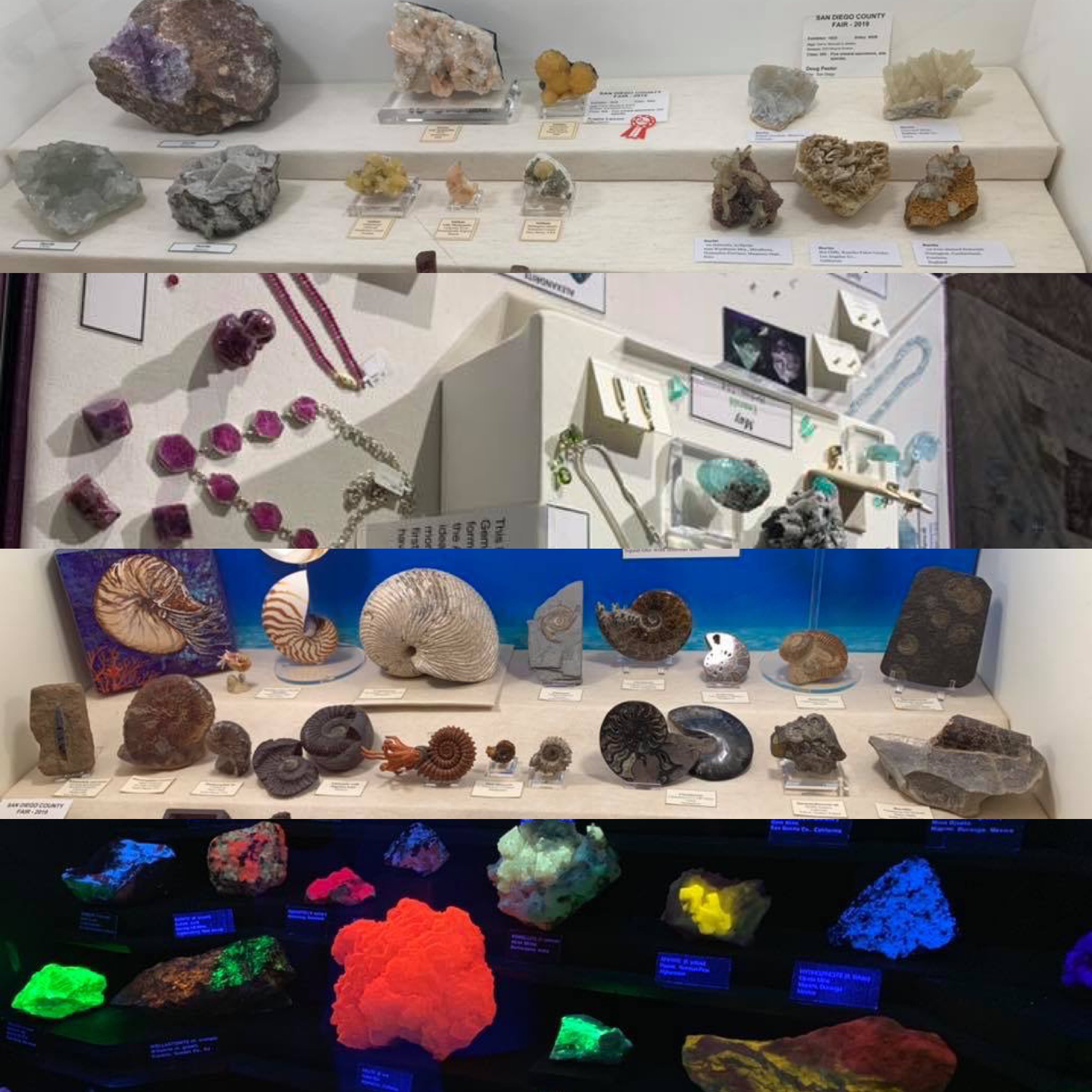 Gems & Minerals Show at the San Diego County Fair