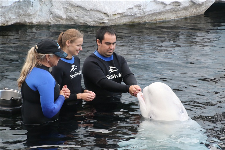 Trainer and us with Beluga Whale.