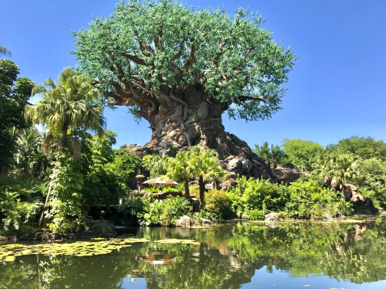 Disney’s Animal Kingdom with Toddlers and Preschoolers