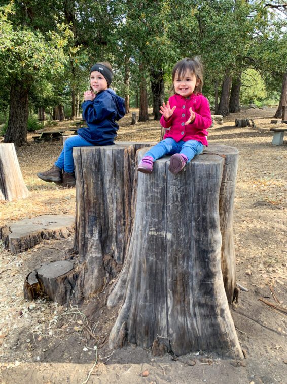 Silvercrest Picnic Area little sisters on tree stumps smiling for picture.