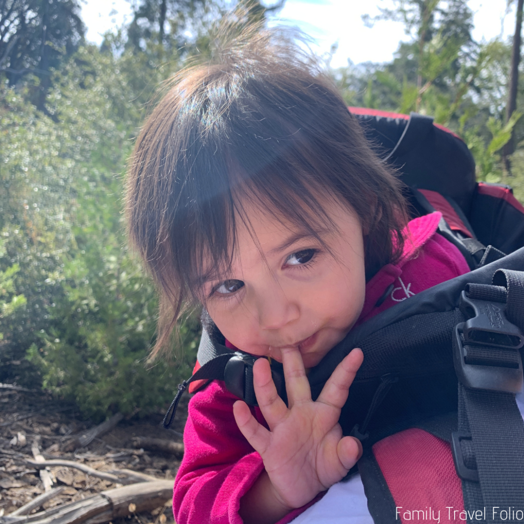 Toddler girl licking fingers after eating chocolate. Girl is in hiking carrier.