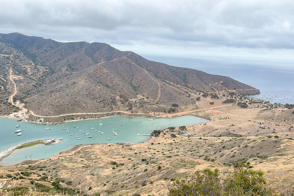 View from Trans Catalina Trail