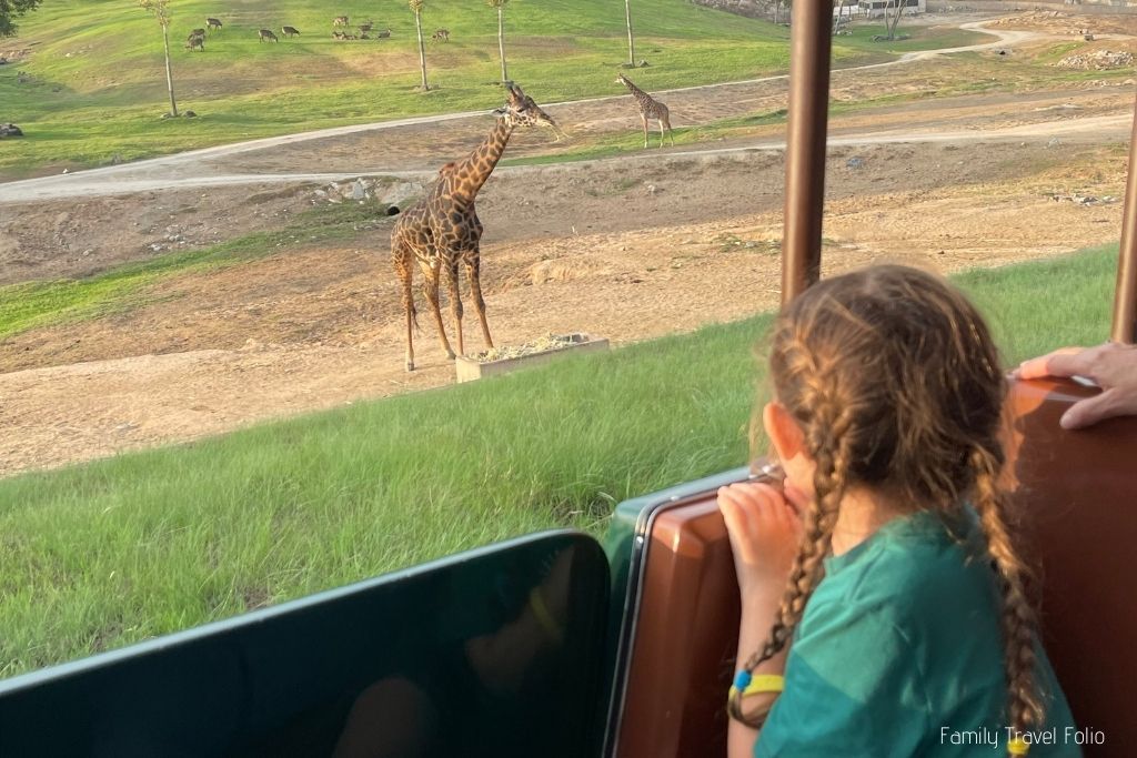 san diego safari park sleepover reviews
