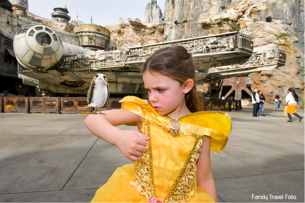 Magic photo in from PhotoPass. Girl dressed as Belle in front of the Millenium Falcon holding her arm up with a Porg on her elbow.