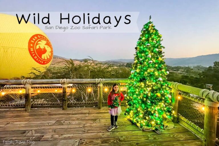 Safari Park Wild Holidays Guide and Review 2024