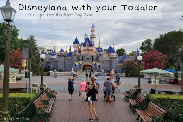 Disneyland with Toddler
