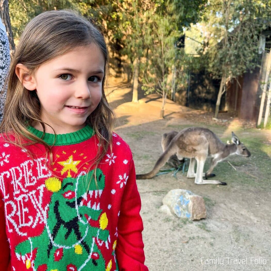 Little girl in Christmas sweater with Kangaroo behind her at Safari Park Wild Holidays