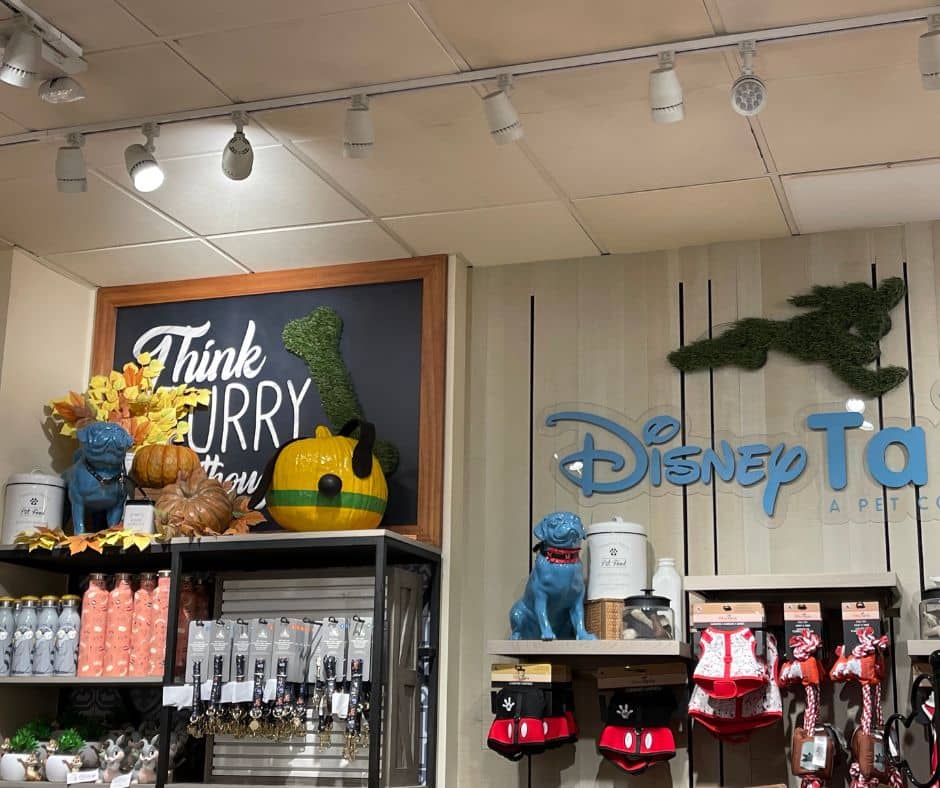 Disney-themed pet store display featuring a green Pluto pumpkin among other Halloween decorations in Downtown Disney.