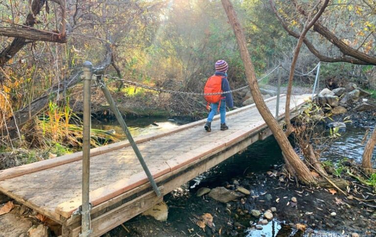 Little girl walking on bridge over stream