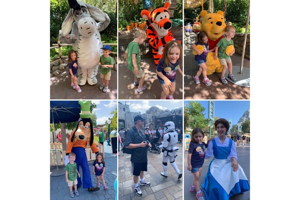 Dineyland Characters Photo Collage: Eeyore, Tigger, Pooh, Goofy, Storm Trooper, Belle