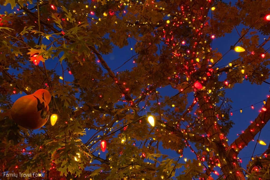 Halloween tree with pumpkin gourd and orange lights at Disneyland