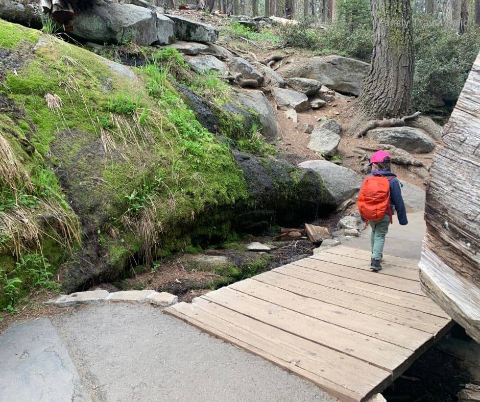 Young child walking across a wooden bridge on a mossy forest trail with a bright orange hiking backpack